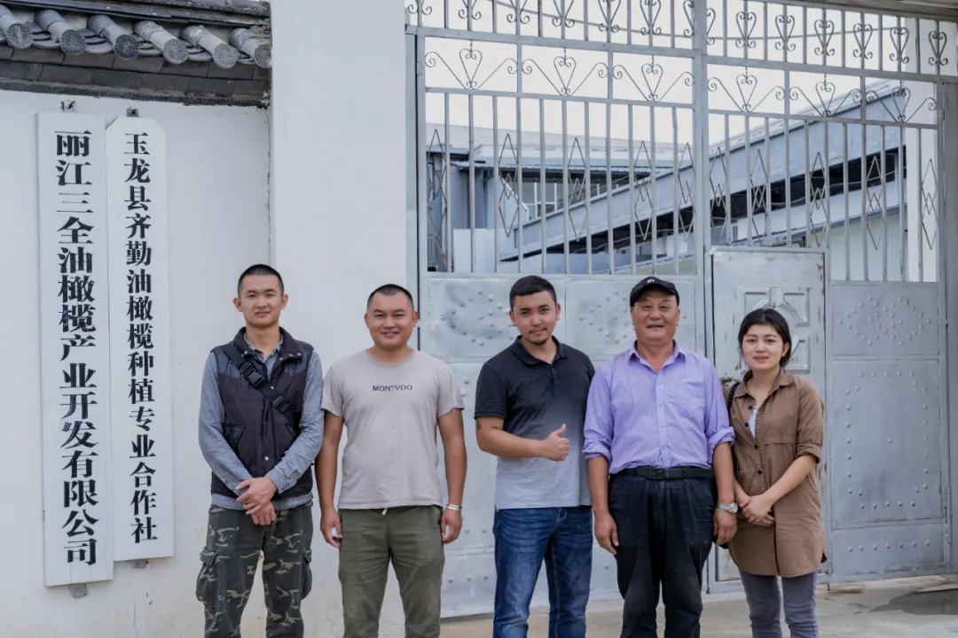 破繭化蝶!麗江這家油橄欖龍頭企業(yè)歷時16年實現(xiàn)種產(chǎn)銷一體化